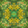 Orboretum: the Orb Collection (Limited Edition)