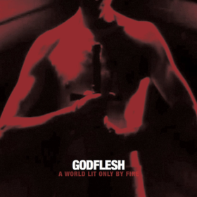 A World Lit Only By Fire Godflesh