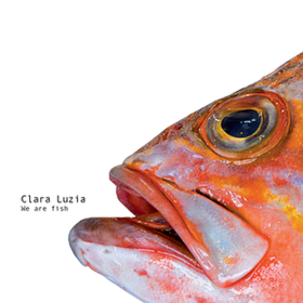 We Are Fish Clara Luzia