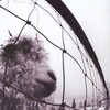 Vs. (30th Anniversary Edition 2 LP)