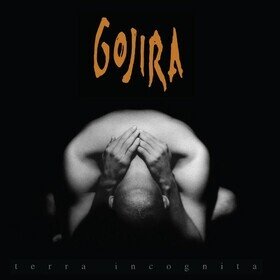Terra Incognita Gojira
