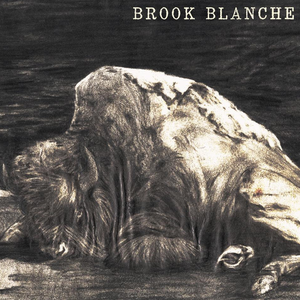 Brook Blanche