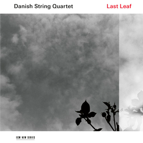 Last Leaf Danish String Quartet