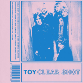 Clear Shot Toy