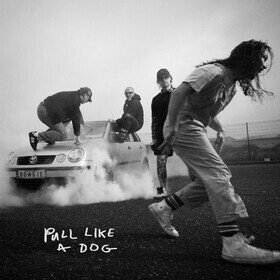 Pull Like a Dog The Scratch