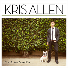 Thank You Camellia Kris Allen