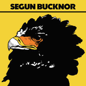 Segun Bucknor Segun Bucknor