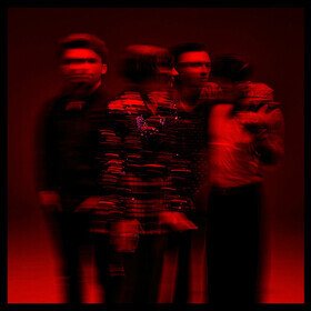 Co.War.Dice. Marmozets
