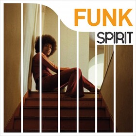 Spirit Of Funk Various Artists