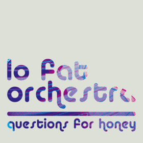 Questions For Honey Lo Fat Orchestra
