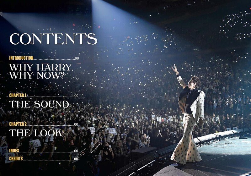 Spotlight on a Legend: Harry Styles