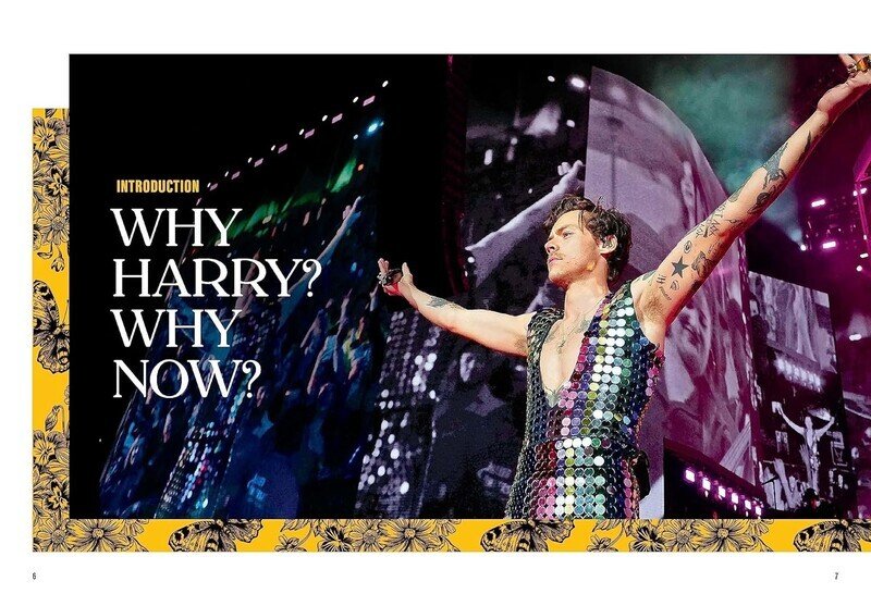 Spotlight on a Legend: Harry Styles