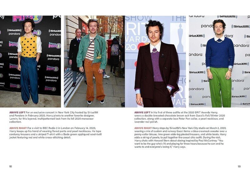 Spotlight on a Legend: Harry Styles