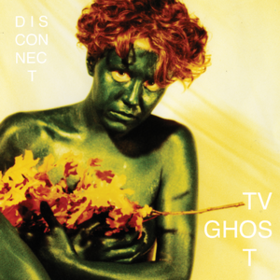 Disconnect Tv Ghost