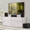 Reference Premiere RP-1000SW Black