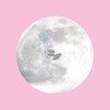 The Moon Is Down (Limited Edition)