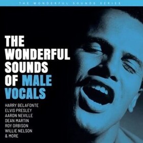 Wonderful Sound Of Male Vocals Various Artists