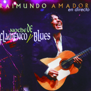 Noche De Flamenco Y Blues