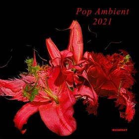 Pop Ambient 2021 Various Artists