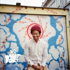 What For? Toro Y Moi