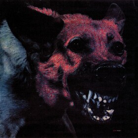 Under Color Of Official Right Protomartyr