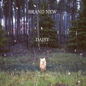 Daisy (2025 Reissue) Brand New