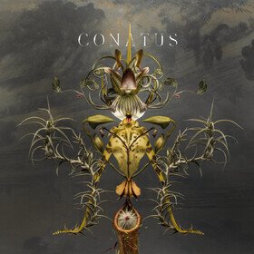 Conatus Joep Beving
