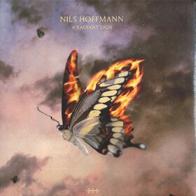 A Radiant Sign Nils Hoffmann