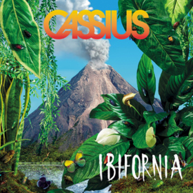 Ibifornia Cassius