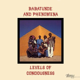 Levels Of Consciousness Babatunde & Phenomena