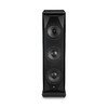 SourcePoint 888 Black Ash