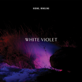 Hiding, Mingling White Violet