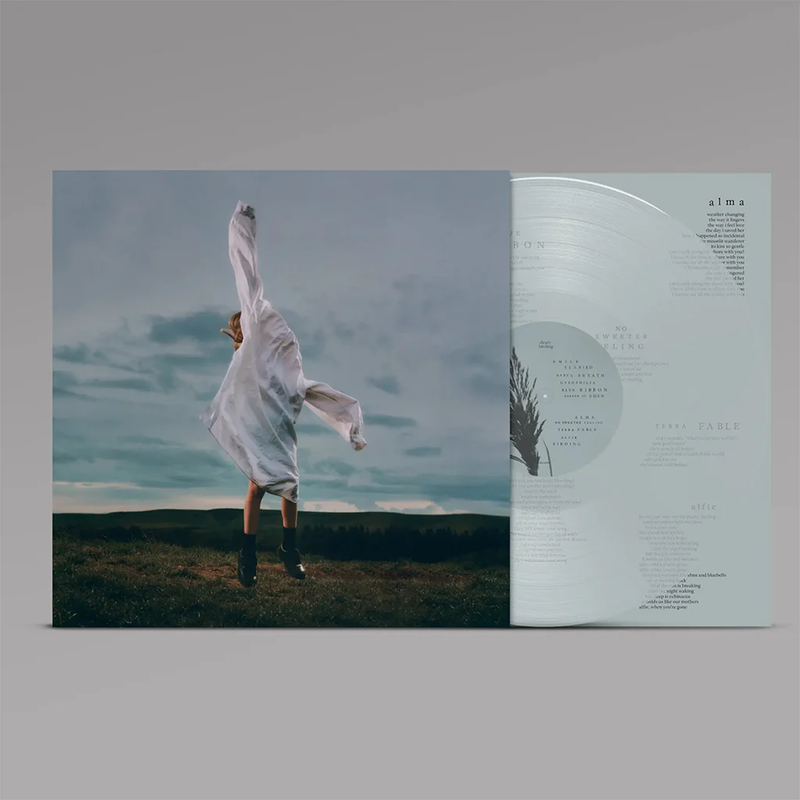 Birding (Limited Edition)