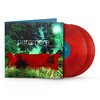 All We Know Is Falling (RSD 2026)