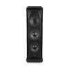 SourcePoint V10 Master Edition Black Ash