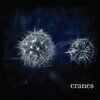Cranes (Limited Edition)