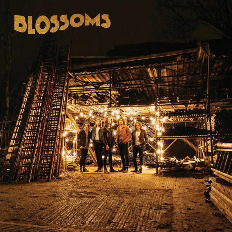 Blossoms (Signed)
