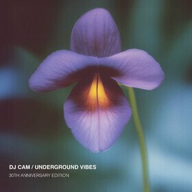 Underground Vibes (30th Anniversary Edition) Dj Cam