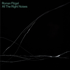 All The Right Noises Roman Flugel