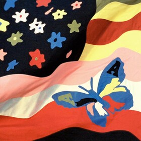 Wildflower (2026 Reissue) Avalanches