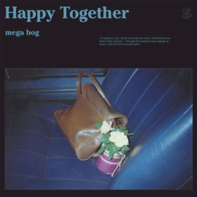 Happy Together Mega Bog
