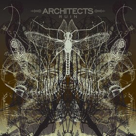 Ruin (Limited Picture Disc) Architects