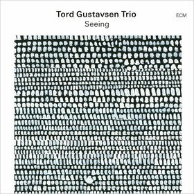 Seeing Tord Gustavsen Trio