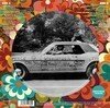 Woodstock Experience (Picture Vinyl)