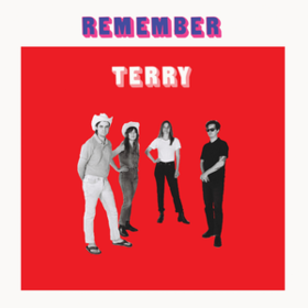 Remember Terry Terry