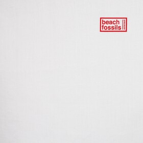 Somersault Beach Fossils