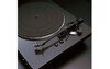 DP-300F Black