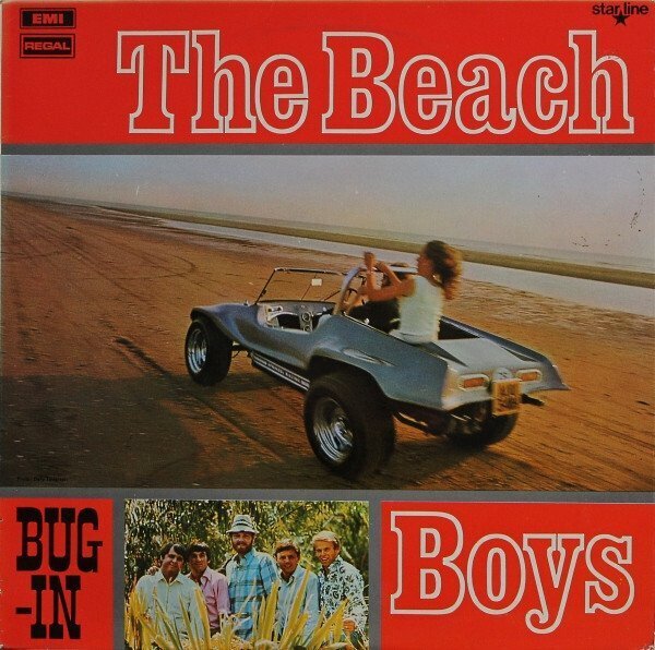 Bug-In