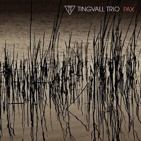 Pax Tingvall Trio