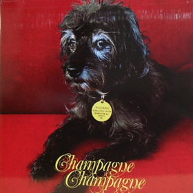 Champagne Champagne Champagne Champagne